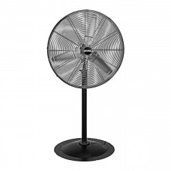 Pedestal Fans