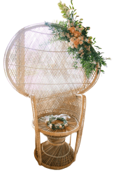 Untitled2018 1737079546 Wicker Throne Chair- HIS