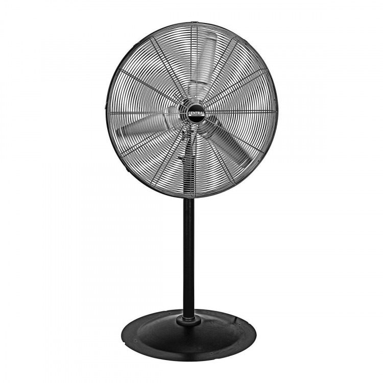 Fans